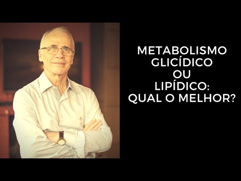 Metabolismo Glicídico ou Lipídico: Qual o Melhor?