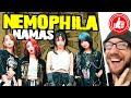 NEMOPHILA 🙇 NAMAS ...reaction to track 4 from GOZO (More cowbell!)