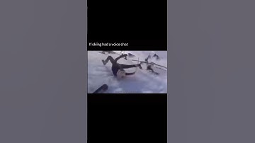 If skiing had voice chat😂 #funny #funnymemes #randommeme #fyp #screaming #skiing
