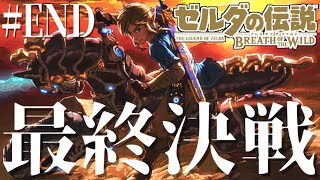 【コメ付き】全てのDLCをクリアした究極完全体リンクで『厄災ガノン』を容赦なく駆逐する感動の物語【ゼルダの伝説/ブレスオブザワイルド】