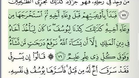 القران الكريم الجزء 13 ناصر القطامي