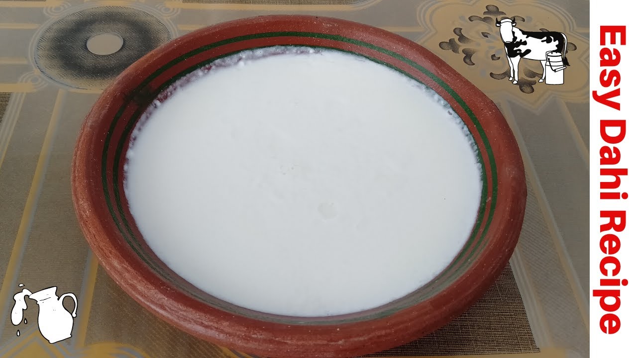 Dahi Jamane Ka Tarika How to Make Homemade Yougert By Cooking With Habiba YouTube