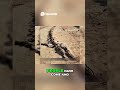 Sahara Secrets: Lost Civilization Beneath the Sands