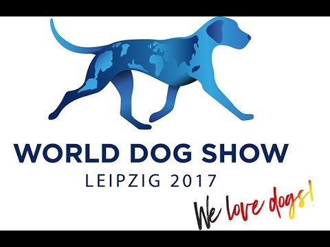 world dog show 2017