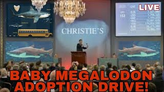 Baby Megalodon Adoption Auction! * Kid Friendly & House Broken! LIVE!