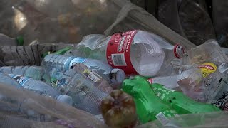 Microplastics are everywhere, but are they harming us?