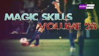 Magic Skills Volume 28