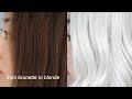 BLEACHING TO PLATINUM BLONDE AT HOME | dahyeshka