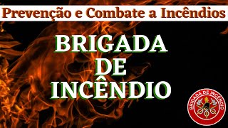 Como funciona uma brigada de incêndio | O que você deve saber | Prevenção e Combate a Incêndio