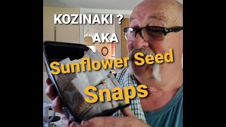 Kozinaki Sunflower Seed Honey Snaps