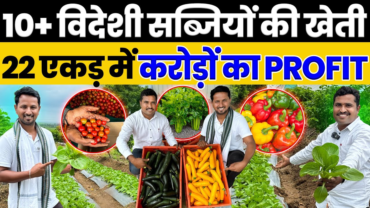 Exotic Vegetables के बादशाह👑💯आधे एकड़ से शुरू की खेती आज है 22 एकड़ का साम्राज्य😱🔥Indian Farmer