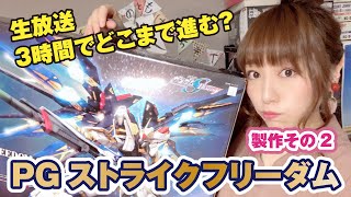 PGストライクフリーダム！生放送でどこまで進む？製作2回目（腰・胸）