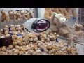 Epic UFO catcher (UFOキャッチャー) Battle - Duffy Bear