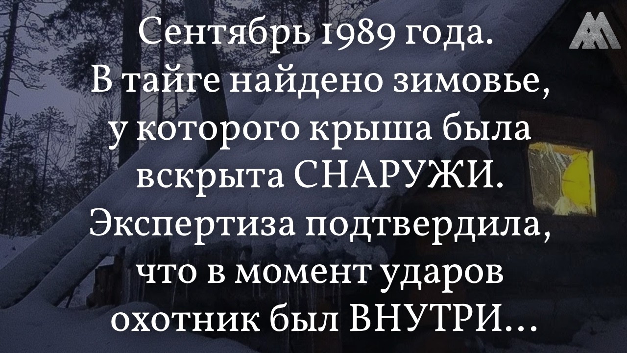 Нашли в Тайге: Крыша Зимовья РАЗОРВАНА Снаружи