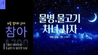10월 별자리 운세 물병 물고기 처녀 사자