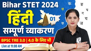 Bihar STET Hindi Classes | Hindi Grammar for Bihar STET 2024 | BSTET Hindi MCQ | Kalyani Mam Hindi