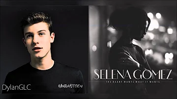 The Heart's Weight | Shawn Mendes & Selena Gomez Mashup!
