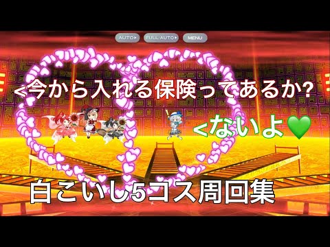 白こいし5コス周回集