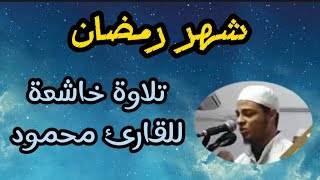 شهر رمضان: فضله وتأثيره - تلاوة خاشعة للقارئ محمود screenshot 3