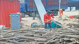 Amazing Wood Chipper Machine Working - Extreme Fast Tree Shredder Easy