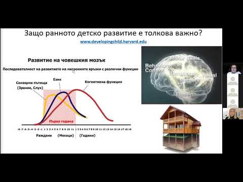 Видео: Значението на ранното развитие на малкото дете