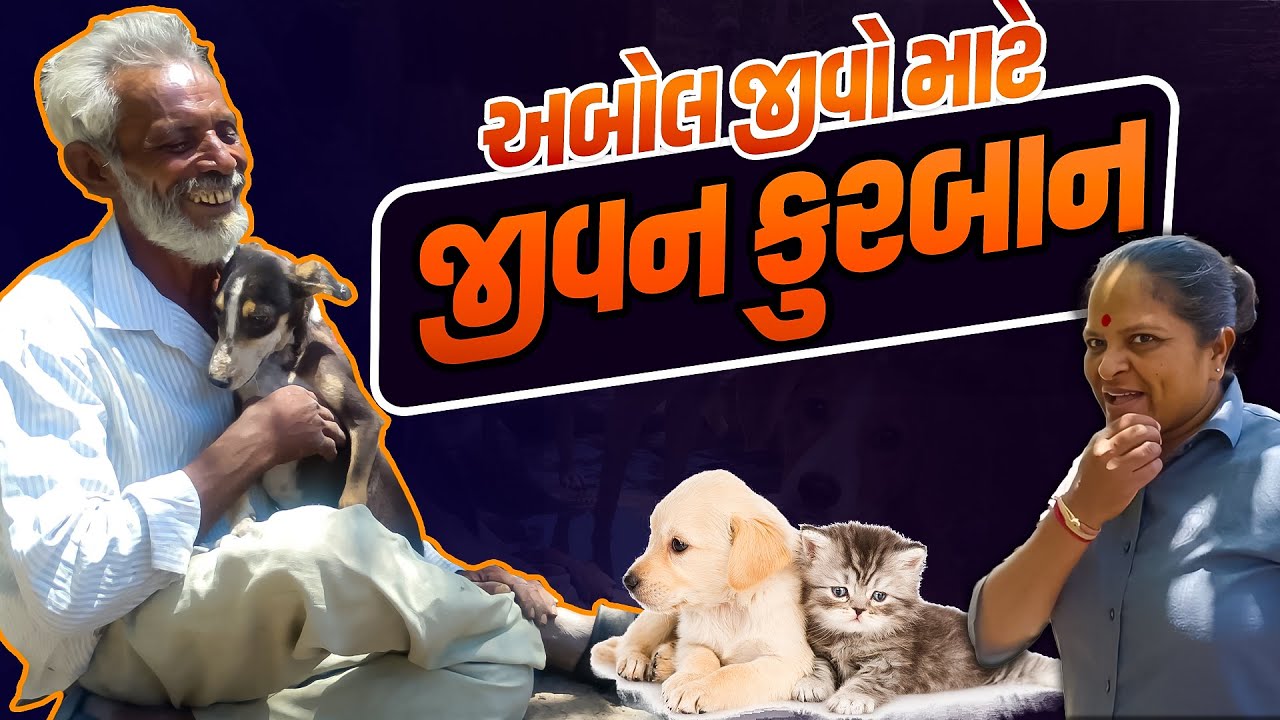 અબોલ જીવો ને જીવન સમર્પીત જાણો પૂરી કહાની | Jalpa Patel Sathi Seva Group Rajkot |Jalpaben Patel seva
