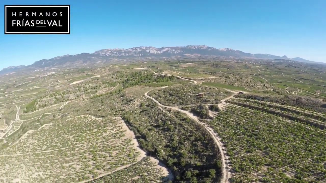 Bodega Hermanos Frias del Val, Rioja alavesa, Spain. Vineyards and ...