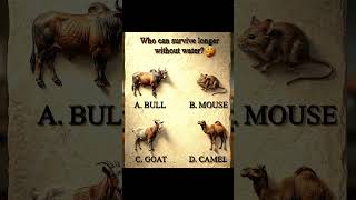 Can you guess it? 💡 .................... #riddle #ammad #IQ #intelligent #outofbox