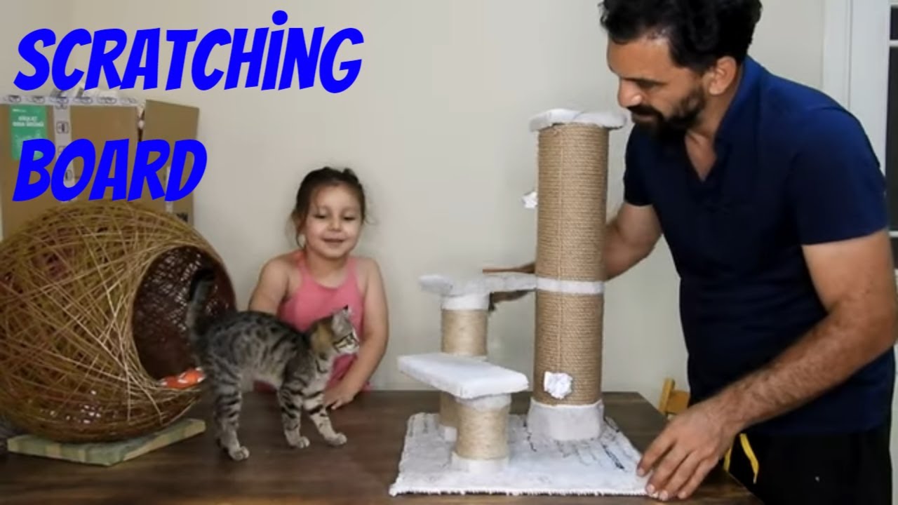 Kedi Tirmalama Tahtasi Yapimi Youtube