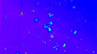 Royalty-Free Rock Music with VOCALS! screenshot 5