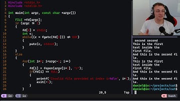 Coding cat in C from Scratch