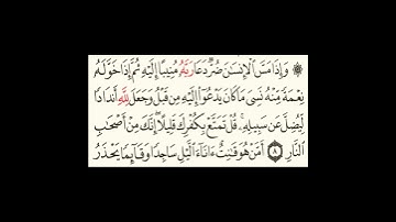 سورة الزمر آية٨ #سورةـالنبأ #سورةالمرسلات #سورةالقيامة #سورةالانسان #سورةـالمدثر #سورةالمزمل