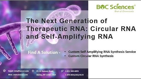 Explore Therapeutic RNA: Circular RNA(circRNA) and Self-Amplifying RNA(saRNA) - BOC Sciences