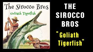 THE SIROCCO BROS - " GOLIATH TIGERFISH" - MANDOLIN ROCKABILLY STOMP! chords