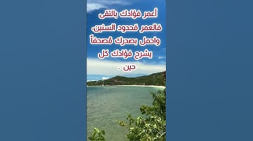 رسالتك اليوم(١٧) 🧡👍عبارات دينية تحفيزية عن أهمية تلاوة القرآن الكريم لمواجهة هموم الحياة 💐👍