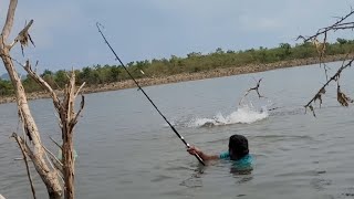 Best hook fishing technique|Big Rohu fishes hunting by Fisherman|Unbelievable Hook fishing