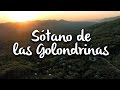 Sótano de las Golondrinas, Huasteca Potosina