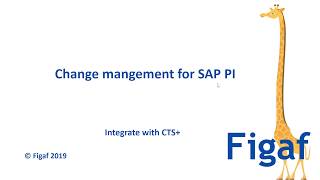 Figaf IRT SAP PI CTS transports