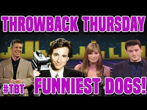 AFV's Throwback Thursday | Classic Episodes, Have You Seen This? and More 90s Winners! - AFV's Throwback Thursday | Classic Episodes, Have You Seen This? and More 90s Winners!