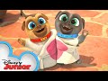 Bob and Ana's Wedding 💕 | Compilation | Puppy Dog Pals | @Disney Junior