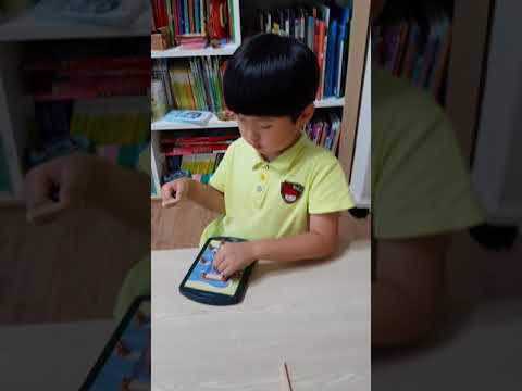 Thinkfun] river crossing(리버크로싱) - 2