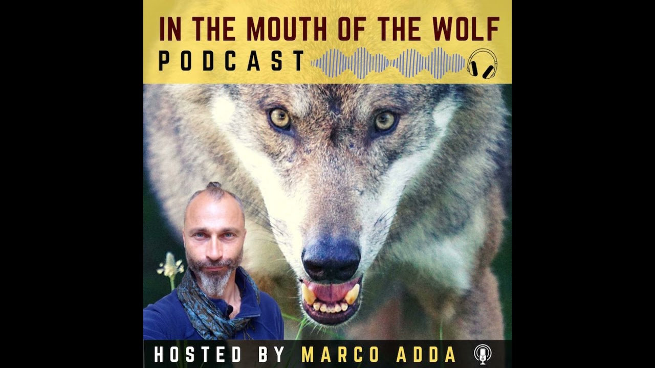 Dog Breed VS Dog Personality