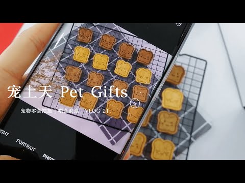 VLOG EP 21: 宠物零食拍摄 | 喂食浪浪