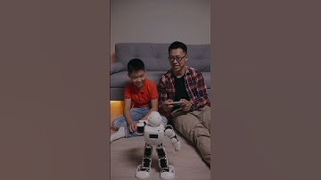 AI + Trading = The Future of Finance 🚀