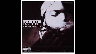 15. Ice Cube - Integration (Insert)