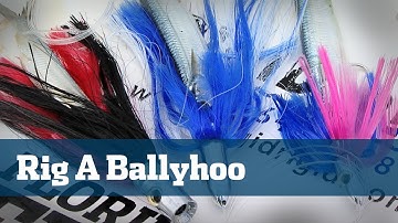 How To Rig Ballyhoo - Florida Sport Fishing TV - Catch More Sailfish And Dolphin With Fresh Bait