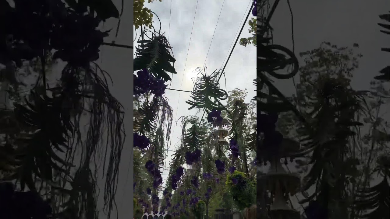 Flower festival in Tivoli 