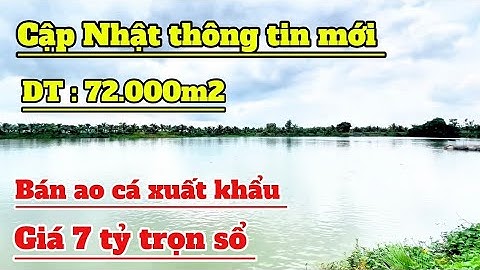 “Siêu Ao Cá 72.000m² – Quy Mô Xuất Khẩu, Giá Chỉ 7 Tỷ ! Sổ Hồng sẵn giá cực mềm . Đầu Tư Ngay
