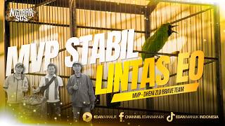 Pantang Pulang Sebelum Menang !! MVP STABIL LINTAS EO !!