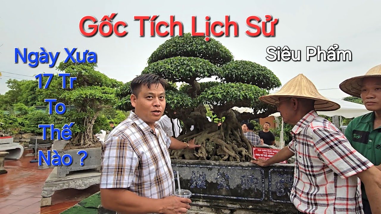 NGHỆ NHÂN TRIỀU KHÚC am hiểu tường tận CS về lịch sử SIÊU PHẨM * Phụ Tử Kế Công Khanh * .